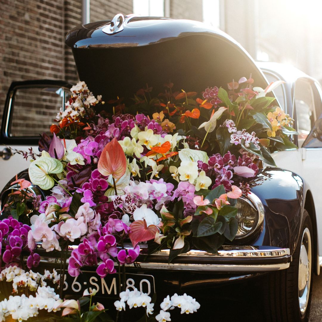 IPM Essen takes off big time in Germany